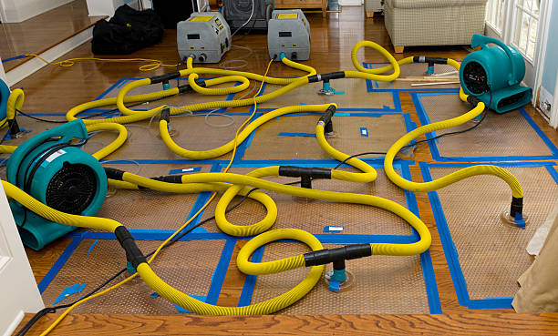 Professional Basement Flood Cleanup technician working in Dixon, KY